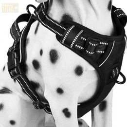 Pet Factory wholesale Amazon Ebay Wish hot large mesh dog harness 109-0001 cattoyfactory.com