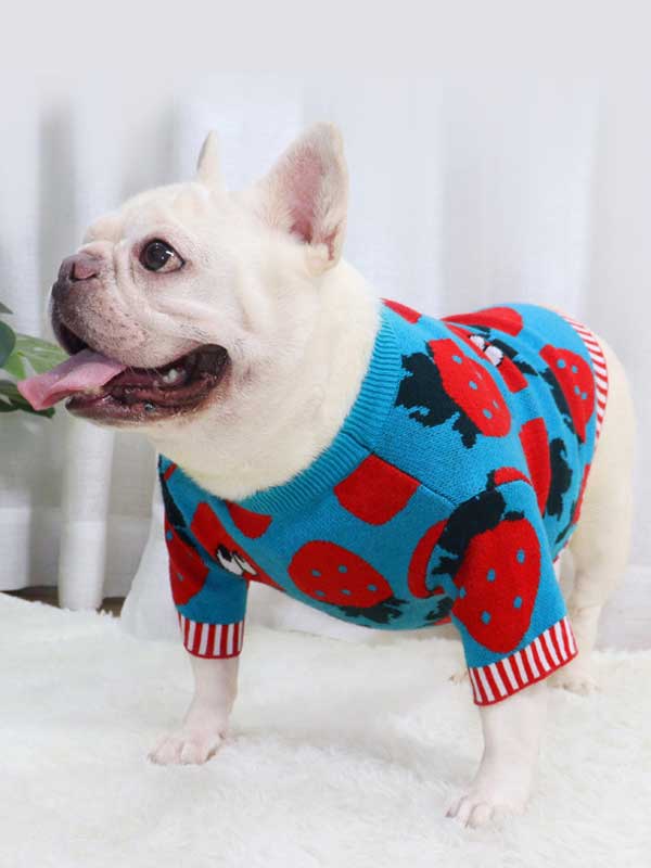 New autumn and winter dog clothes bulldog sweater strawberry cartoon short body fat dog method fighting autumn sweater 107-222041 cattoyfactory.com