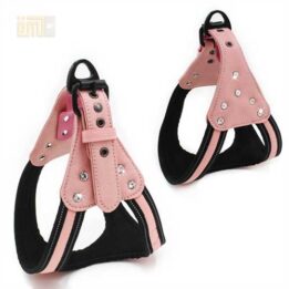 GMTPET Pet factory wholesale Pet dog car harness for girls 109-0007 cattoyfactory.com