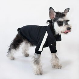 Sport Pet Clothes Custom Fashion Dog BomberJacket Blank Dog Clothes cattoyfactory.com