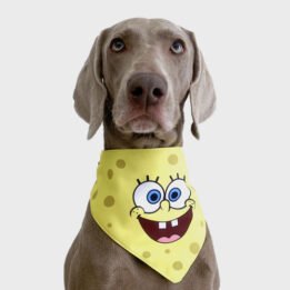 New Product Yellow Cartoon Cute Duck triangle scarf Pet Saliva Towel cattoyfactory.com