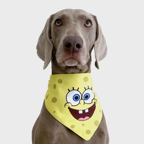 New Product Yellow Cartoon Cute Duck triangle scarf Pet Saliva Towel Dog bandana: Pet bandana & pet accessories New Product Yellow Cartoon Cute Duck triangle scarf Pet Saliva Towel