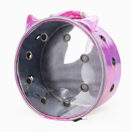 Pet Travel Bag for Cat Cage Carrier Breathable Transparent Window Box Capsule Dog Travel Backpack cattoyfactory.com