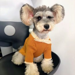 Dog Sweater Bowknot Plain Knit Sweater Cute Cat Winter Clothing Pet Clothes Pet Accessories cattoyfactory.com