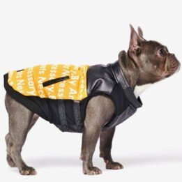 Pet Dog Clothes Vest Padded Dog Jacket Cotton Clothing for Winter cattoyfactory.com