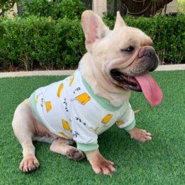 Pure Cotton Dog Vest Patterns Designer Matching Dog and Human Pet Clothes-06-0496