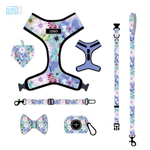Pet harness factory new dog leash vest-style printed dog harness set small and medium-sized dog leash 109-0033 Dog Harness Pet harness factory new dog leash vest-style printed dog harness set small and medium-sized dog leash 109-0033