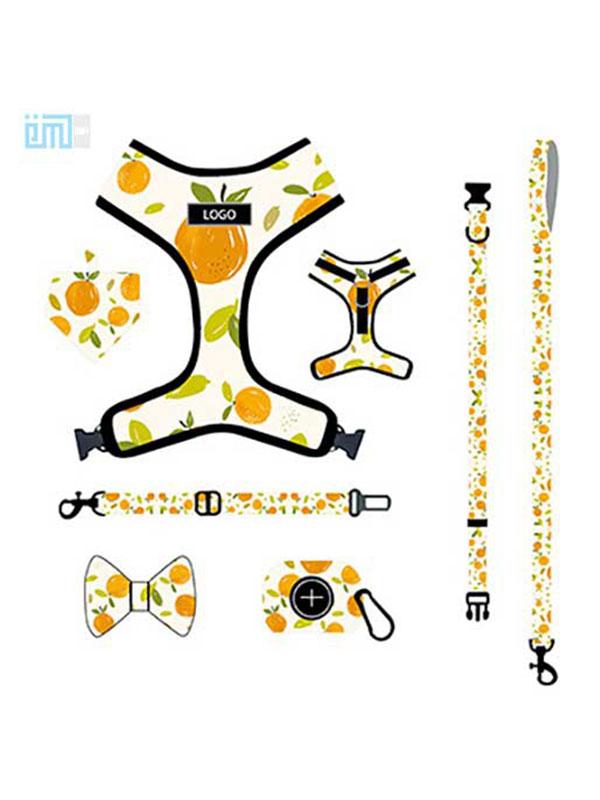 Pet harness factory new dog leash vest-style printed dog harness set small and medium-sized dog leash 109-0050 Dog Harness 109-0050