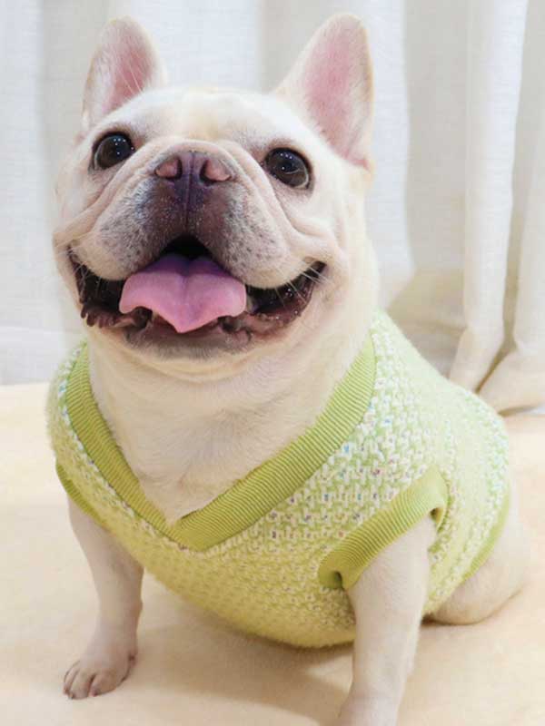 GMTPET Thickened autumn and winter fat dog short body bulldog pug dog lady plush rich rich French fighting clothes v-neck vest vest 107-222012 cattoyfactory.com