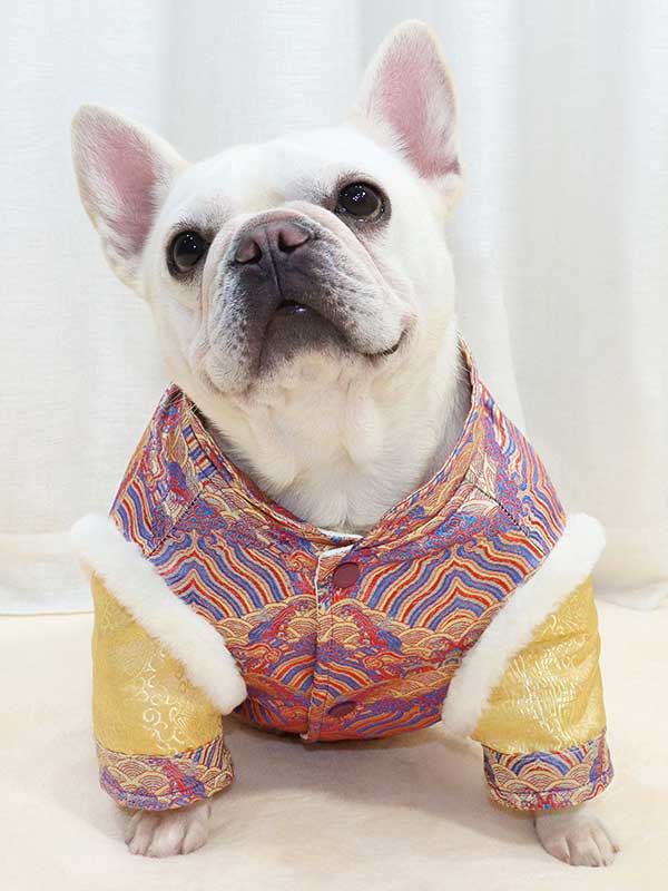 GMTPET French fighting Chinese New Year’s clothing New Year’s clothing Tang suit Chinese style fat dog bulldog dog clothes thickened rabbit fur jacket cotton coat 107-222013 www.cattoyfactory.com