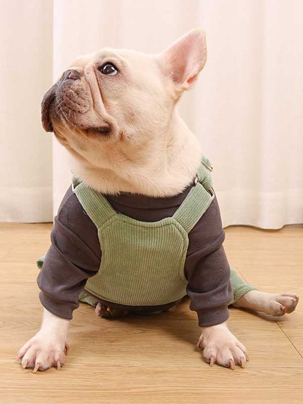 GMTPET French fighting clothes high elastic comfortable solid color plus velvet thick bottoming shirt T-shirt bulldog dog clothes 107-222016 www.cattoyfactory.com