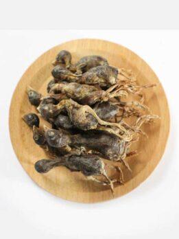 OEM & ODM Pet food freeze-dried Quail for dog and cat 130-072 cattoyfactory.com
