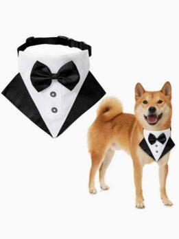Wedding suit pet drool towel dog collar pet triangle towel pet bow tie wedding suit triangle towel 118-37007 cattoyfactory.com