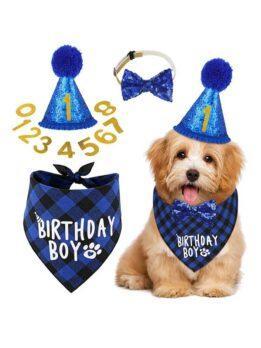 Pet party decoration set dog birthday scarf hat bow tie dog birthday decoration supplies 118-37011 cattoyfactory.com