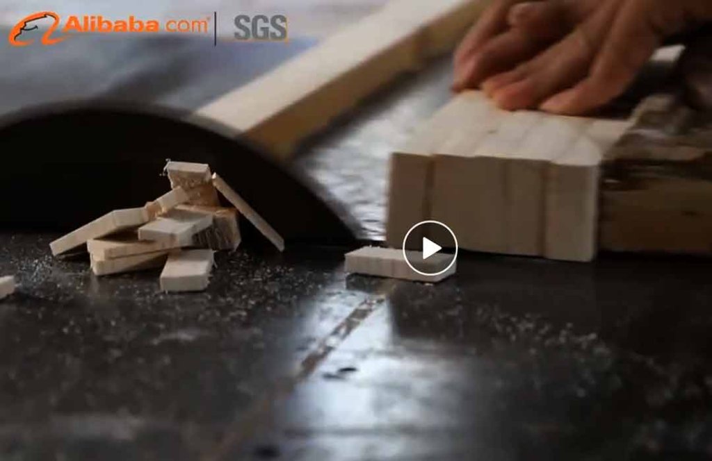 Pet Products Factory | Pet Product | GMTPET