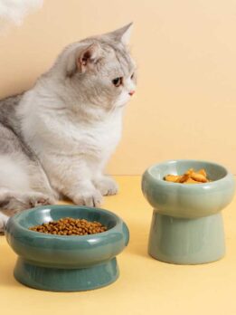 Wholesale ceramic bowl cat bowl cat food bowl dog drinking bowl